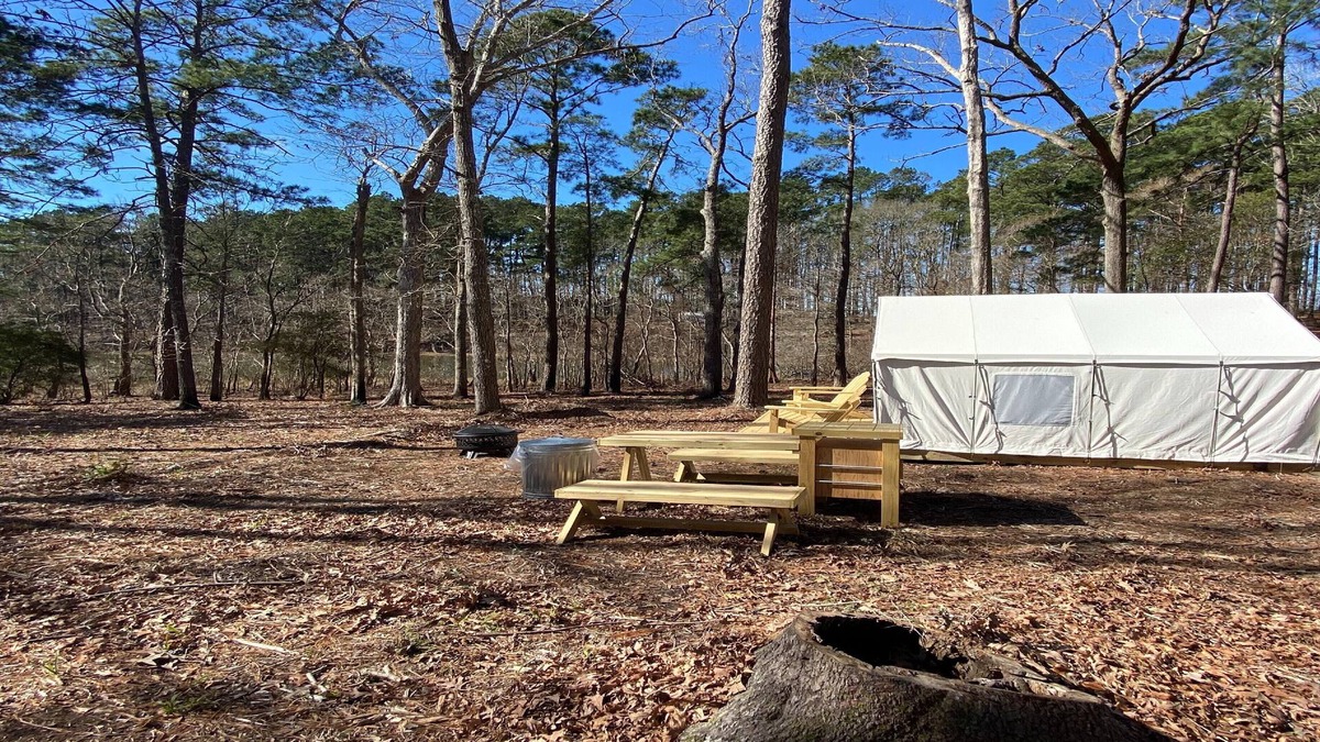 Anacoco RV Rental | Tentrr State Park Site - Louisiana South Toledo Bend State Park - Site F - Sing