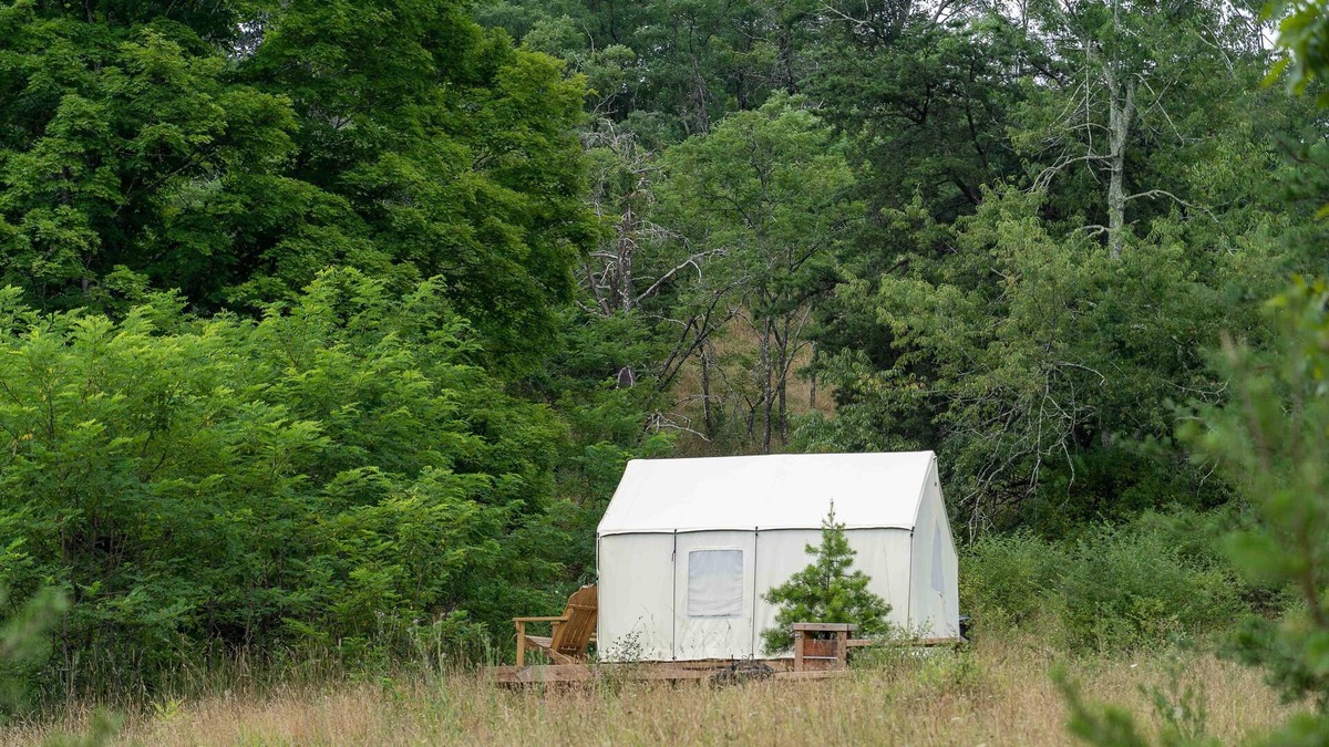 Mathias RV Rental | Tentrr State Park Site - WV Lost River State Park - Site F - Single Camp