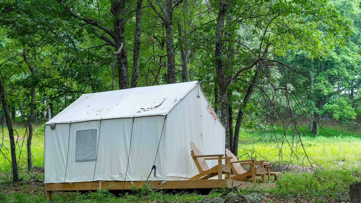 Mathias RV Rental | Tentrr State Park Site - WV Lost River State Park - Wooded Wilderness D - Single