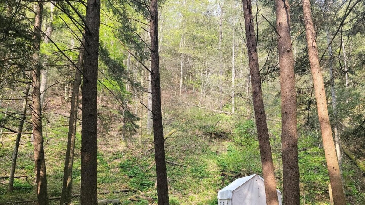 Swanton RV Rental | Tentrr State Park Site - Big Run State Park - Site A