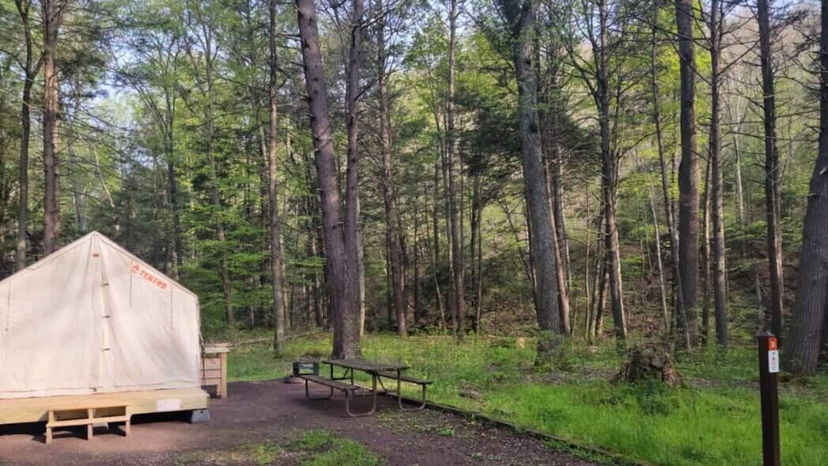 Swanton RV Rental | Tentrr State Park Site - Big Run State Park - Site D