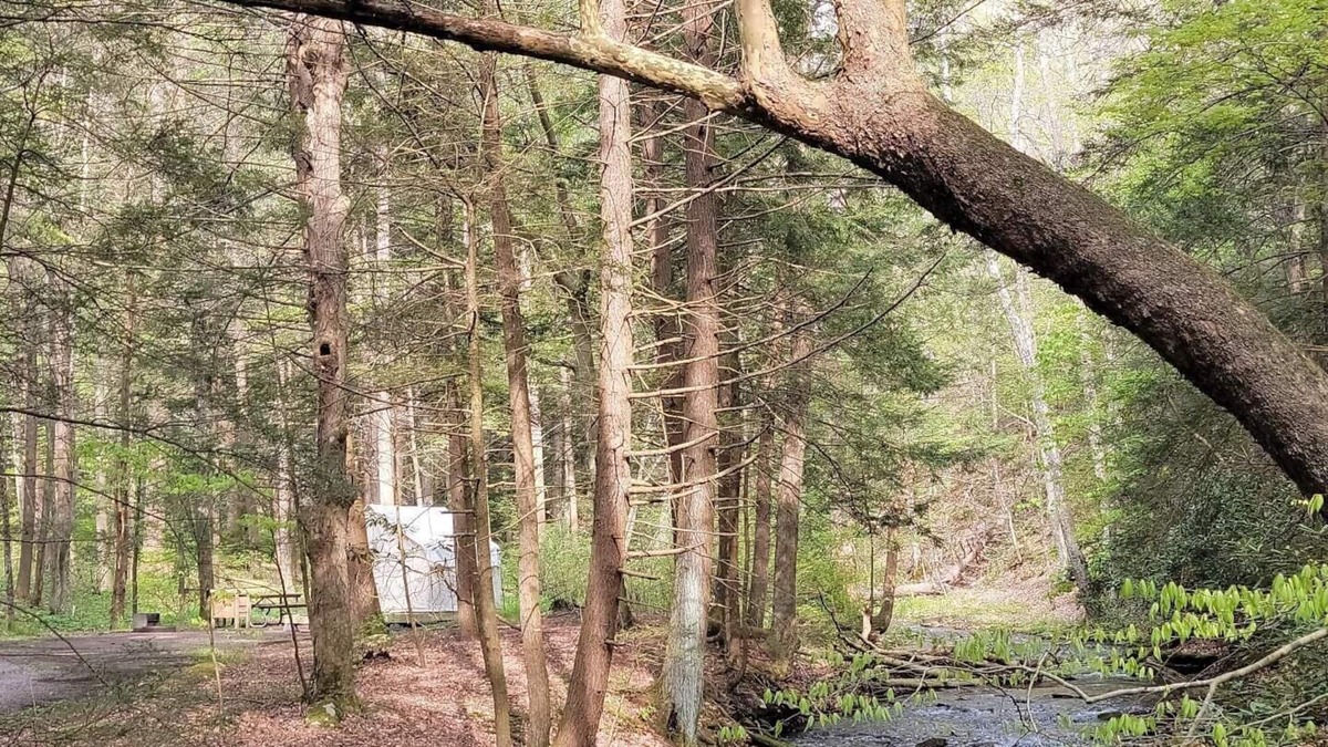 Swanton RV Rental | Tentrr State Park Site - Big Run State Park - Site F