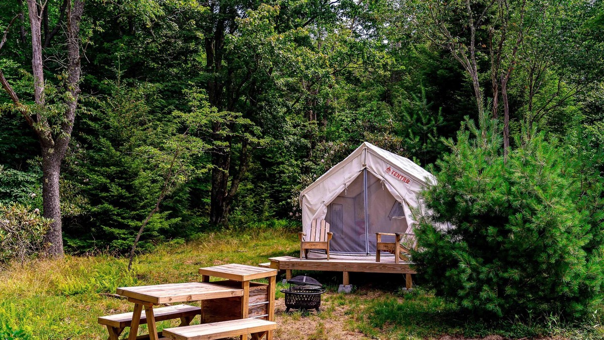 Davis RV Rental | Tentrr State Park Site - WV Blackwater Falls State Park - Site D - Single Camp "
