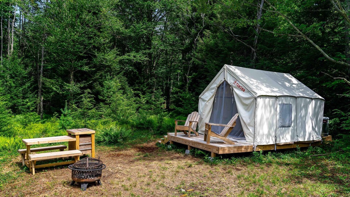Davis RV Rental | Tentrr State Park Site - WV Blackwater Falls State Park - Site E - Single Camp "