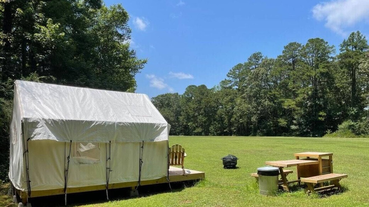 Holly Springs RV Rental | Tentrr State Park Site - Mississippi Wall Doxey State Park - Fresh Field E - Sin