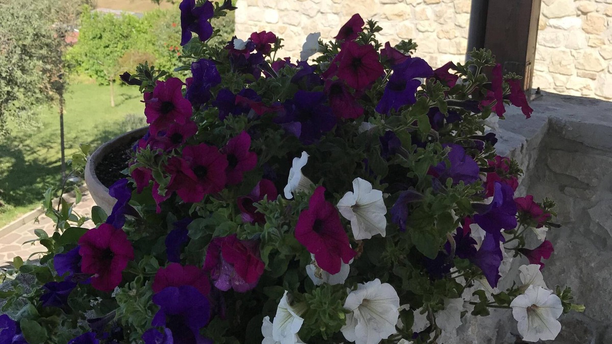 Montefalcione House | Tenuta Militerni