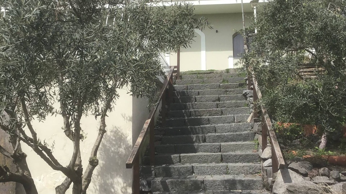 Terzigno Other | Tenuta Terradifuoco has a restaurant, bar, a shared lounge