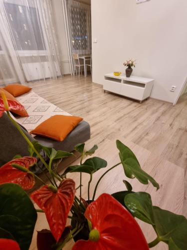 Teplice Apartment | TEPLA II
