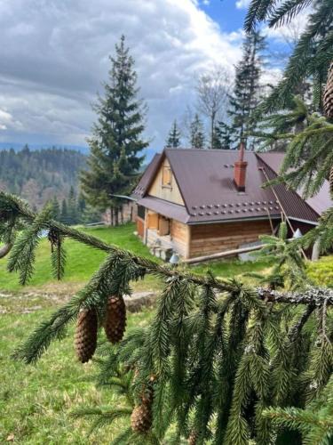 Nowy Targ Ski Chalet | Terenowka Bacowka