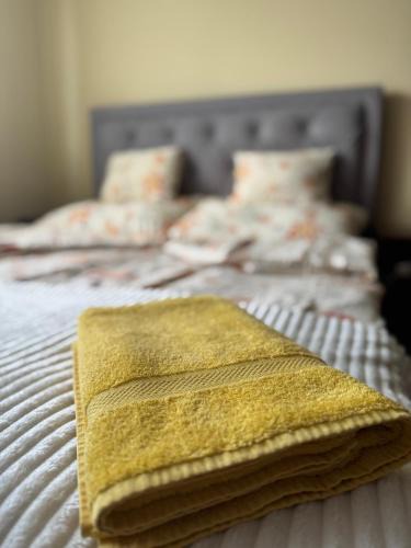 Tiszaujvaros Apartment | Termál Apartman