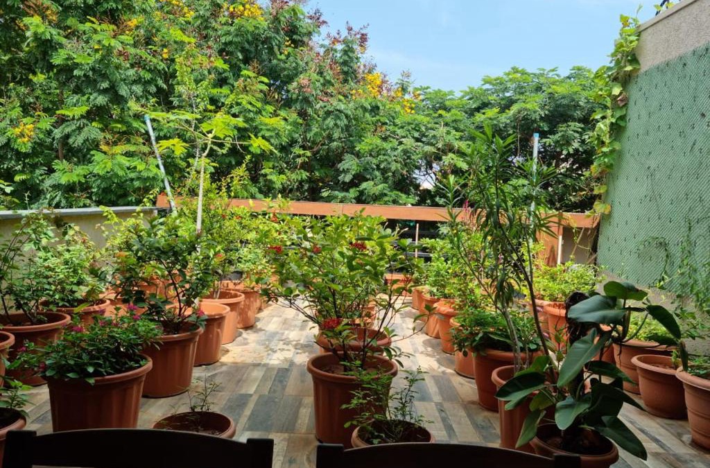 Begumpet Apartment | Terrace Garden