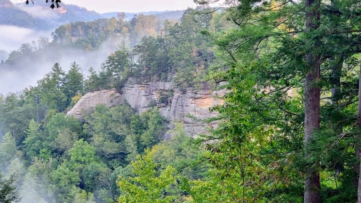 Rogers Cabin | Terrapin Station: Million dollar view, RRG!