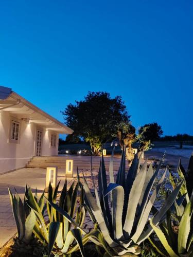 Montegrosso Apartment | Terre di Sveva