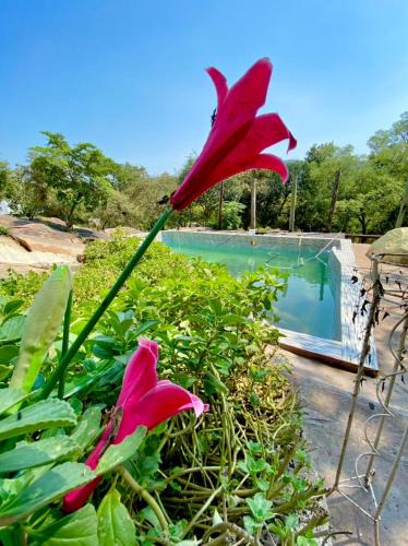 Manzini District Resort | Tfutjana Mount Resort and Restaurant