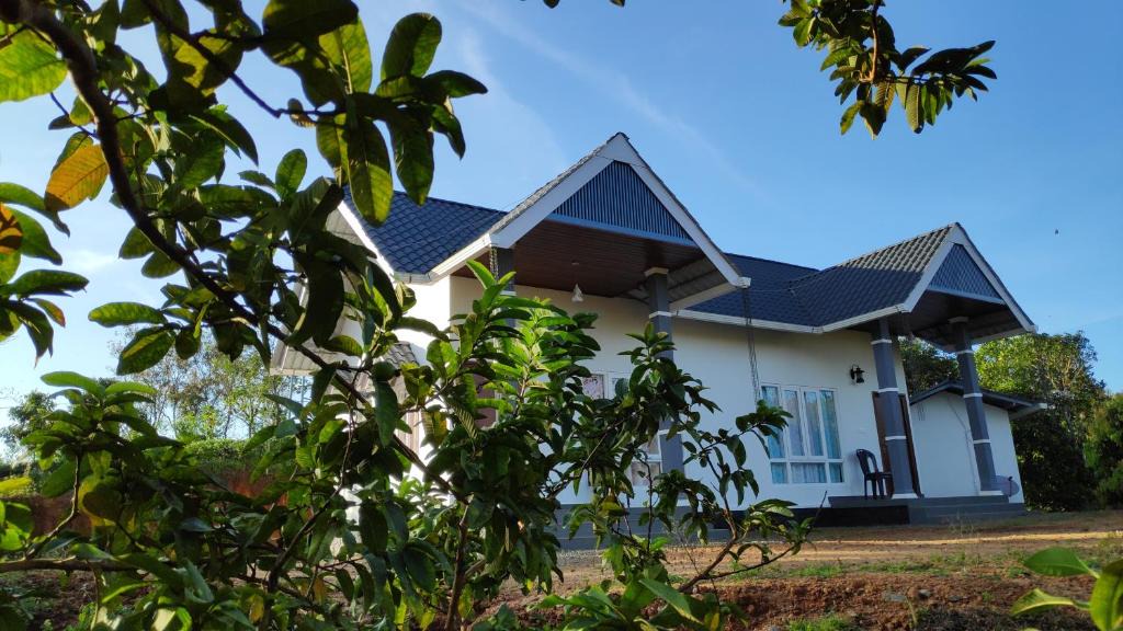 Vagamon Ski Chalet | Thanal Farm Stay Vagamon