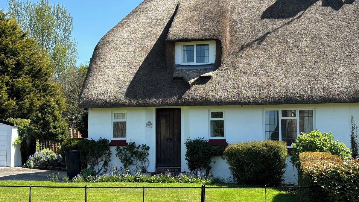 Cattistock Cottage | Thatched Cottage - Sleeps 6 with Countryside Views