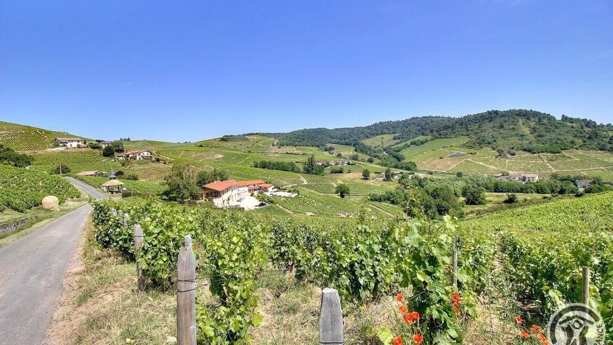Fleurie House | The 3 Aufranc vineyard gîtes
