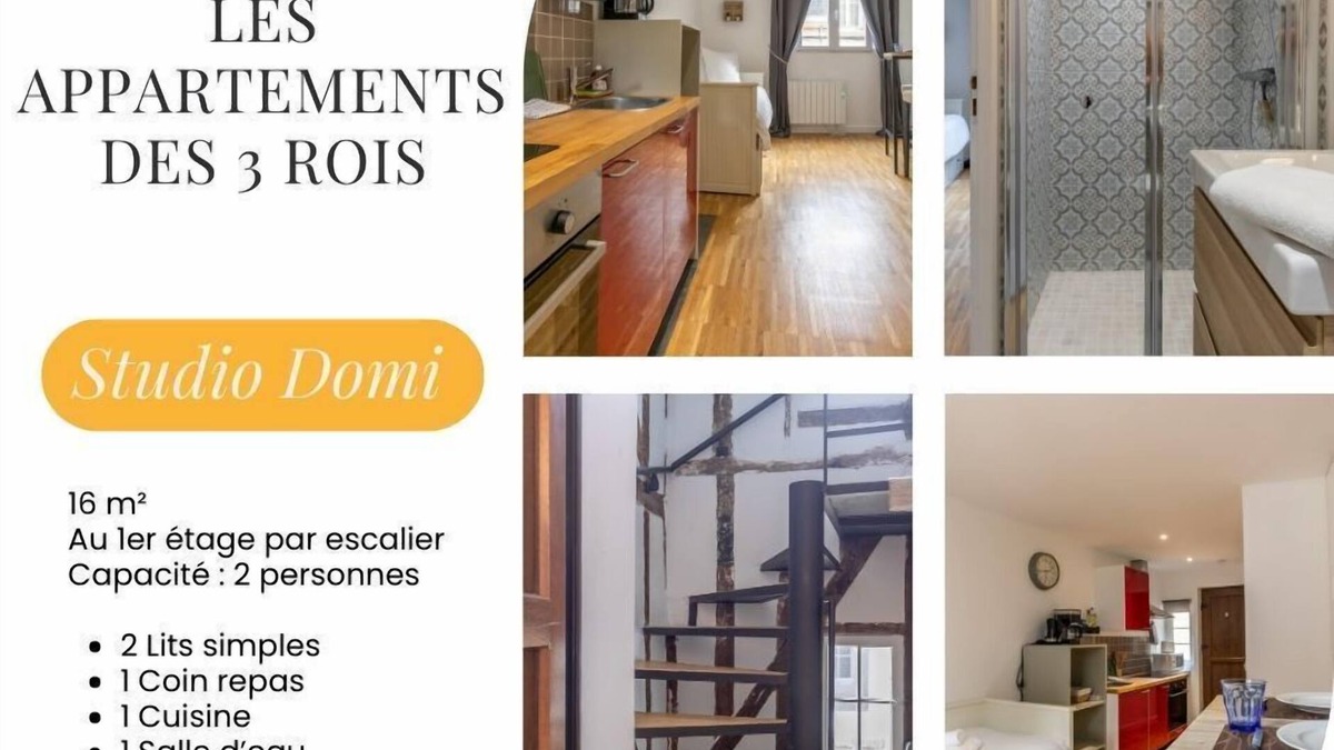 Romorantin-Lanthenay Apartment | The 3 kings: Studio Domi, Beauval and Châteaux