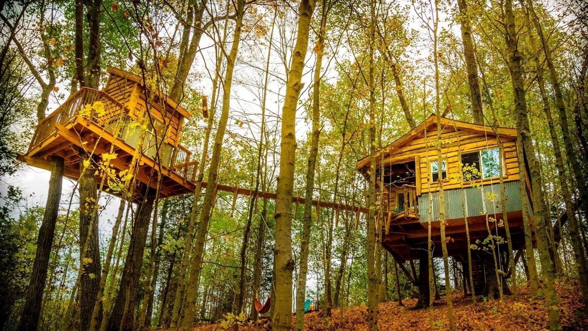 Stonewall Cabin | The Aliyah Treehouse with swinging bridge +285 acres hiking trails