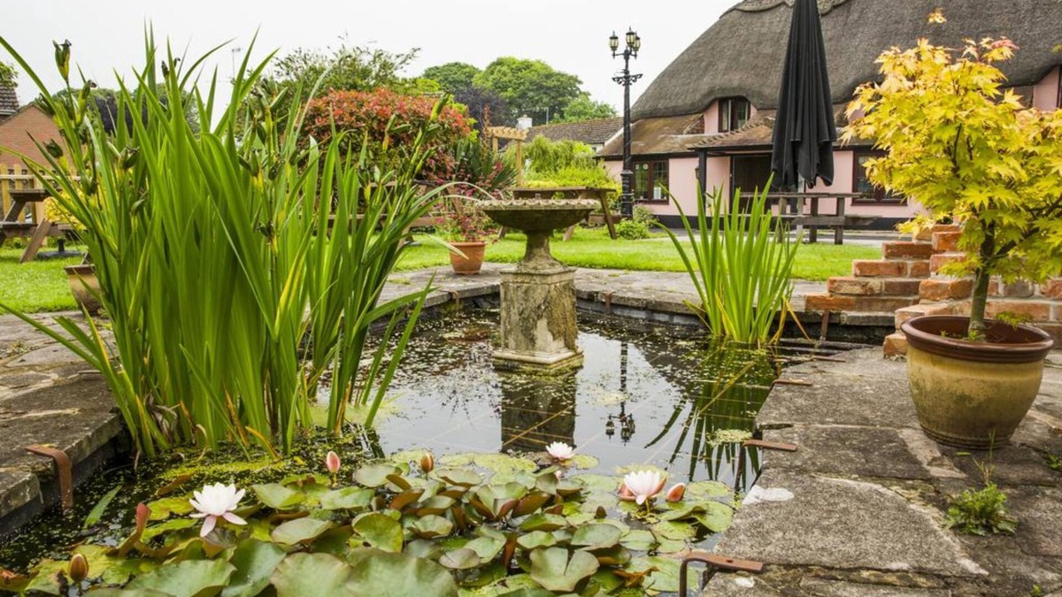 Pimperne Hotel | The Anvil Inn