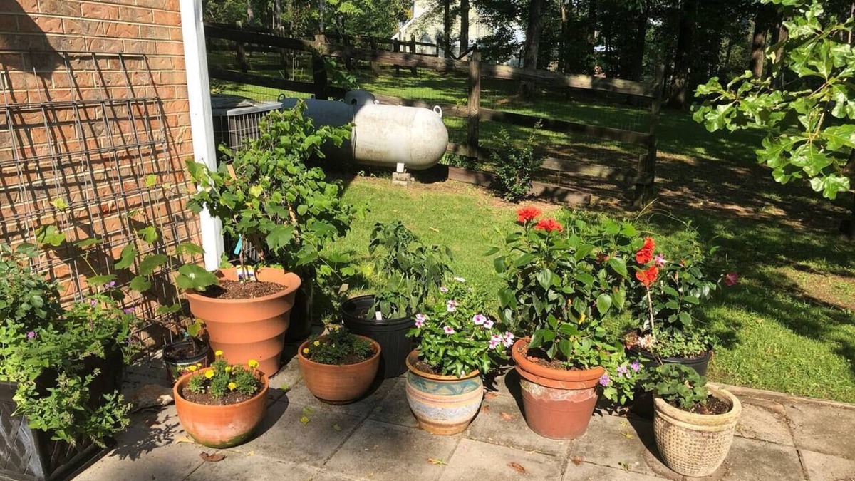 Montevallo Apartment | The Apartment - 3 miles to I 65