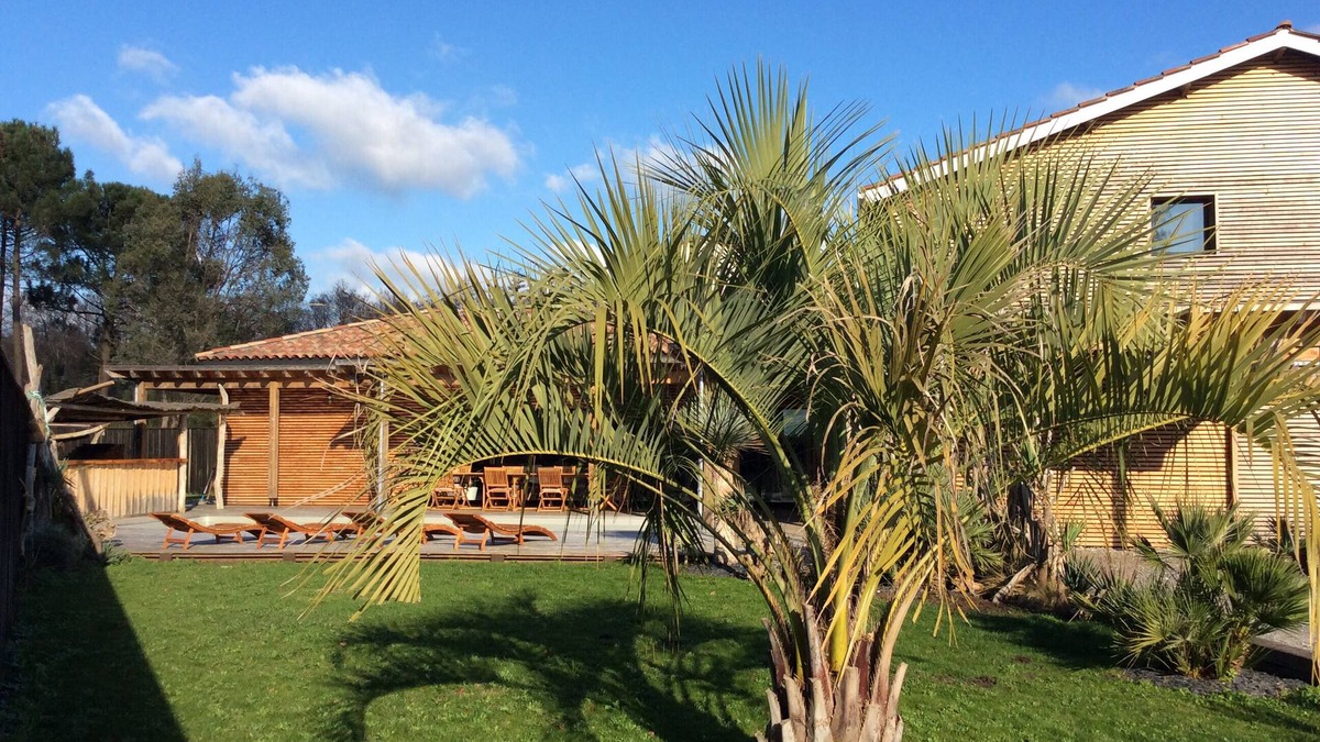 Lacanau Villa | The apricot tree: Villa, driftwood, heated pool