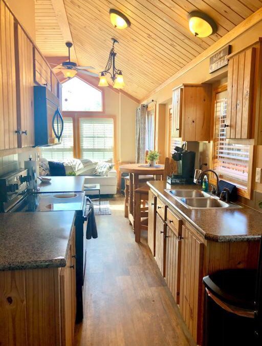 Austin House | The Armadillo Cabin - Cabins At Rim Rock