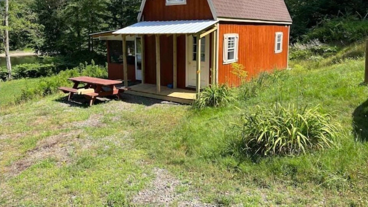 Ouaquaga Cabin | The Bald Eagles Nest riverside cabin
