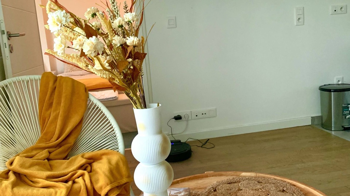 Maisons-Alfort Apartment | The Bali Cosy House