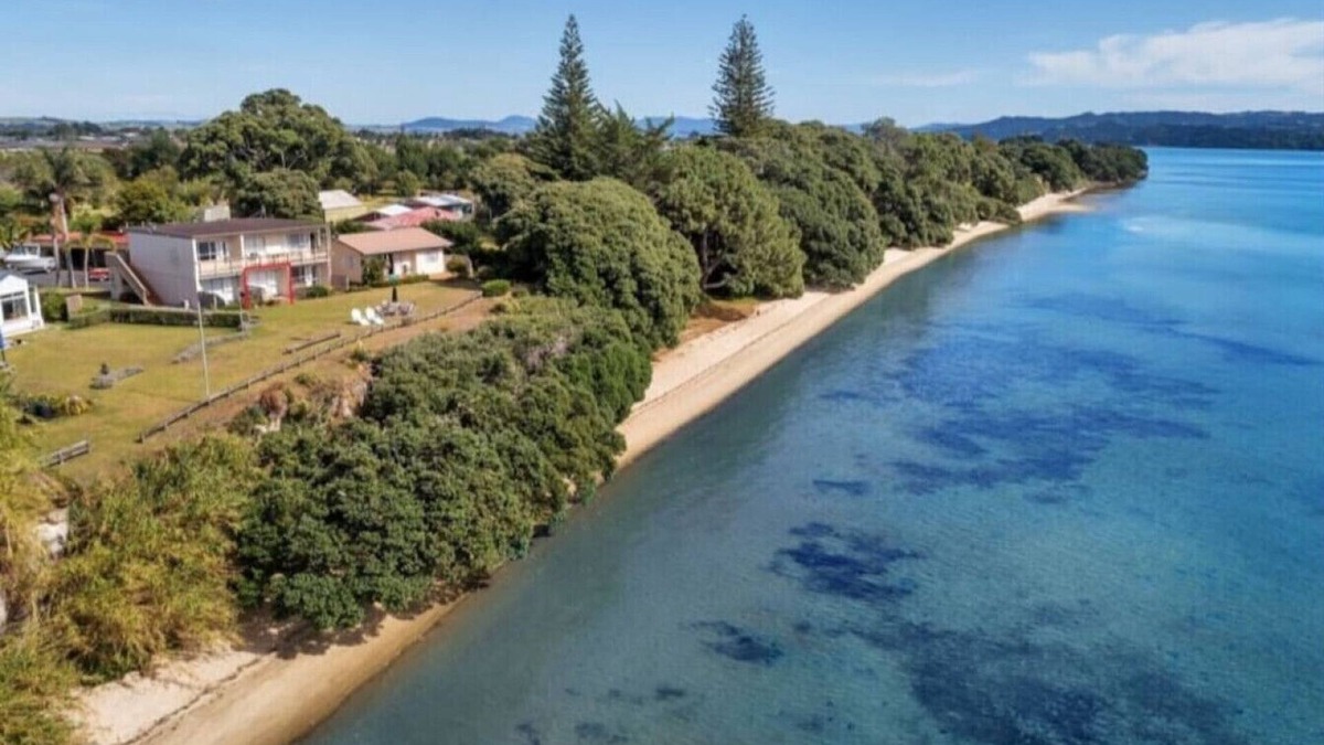 One Tree Point Apartment | The Beach Hut - Waterfront Studio at HarbourLights
