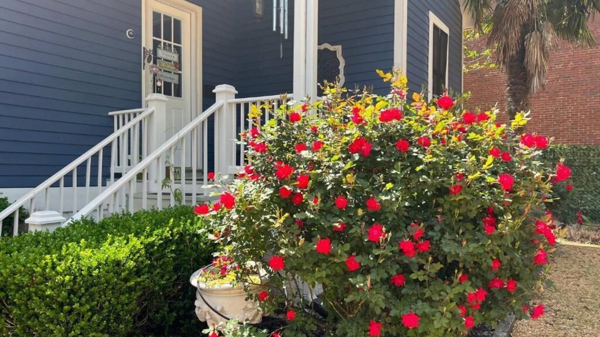 Natchez Bed & Breakfast | The Beaumont House
