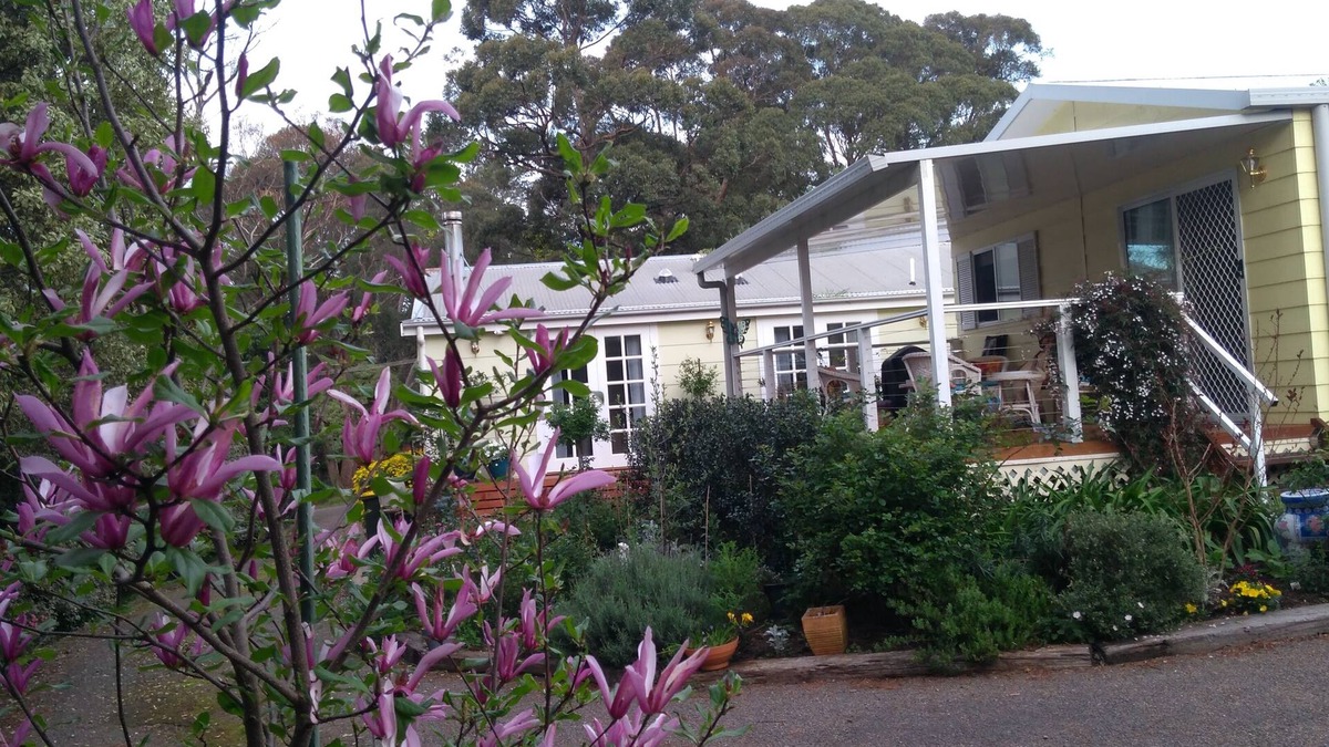 Bundanoon Cottage | The Best Exotic Magnolia Cottage