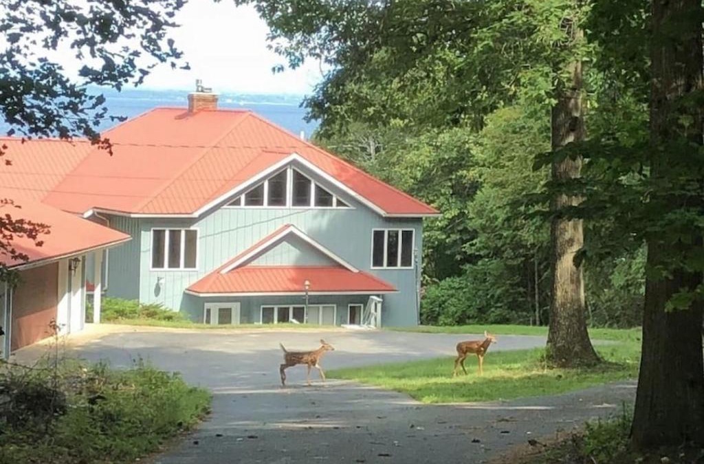 Town of Chesterfield House | The Big-Lake Lodge at Lake Champlain