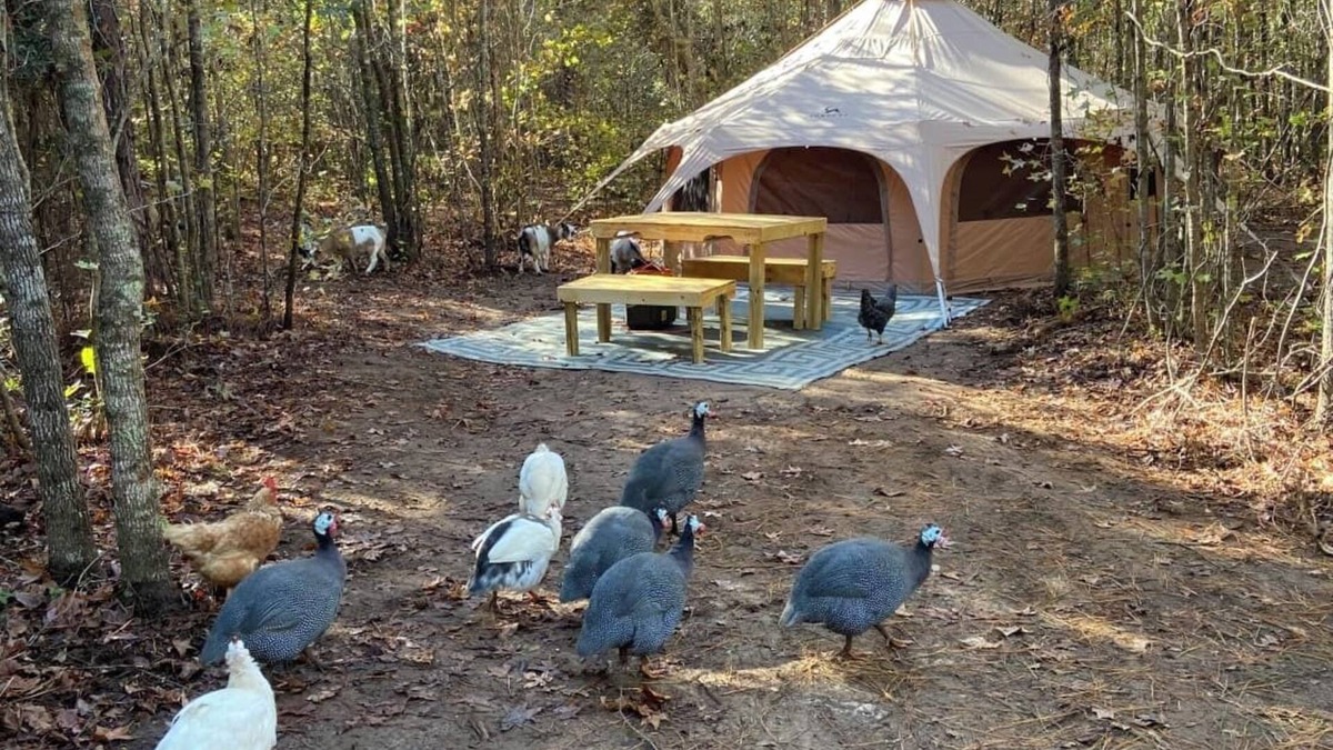 Tallahassee RV Rental | The Big Top Lg group GLAMP Farmstay