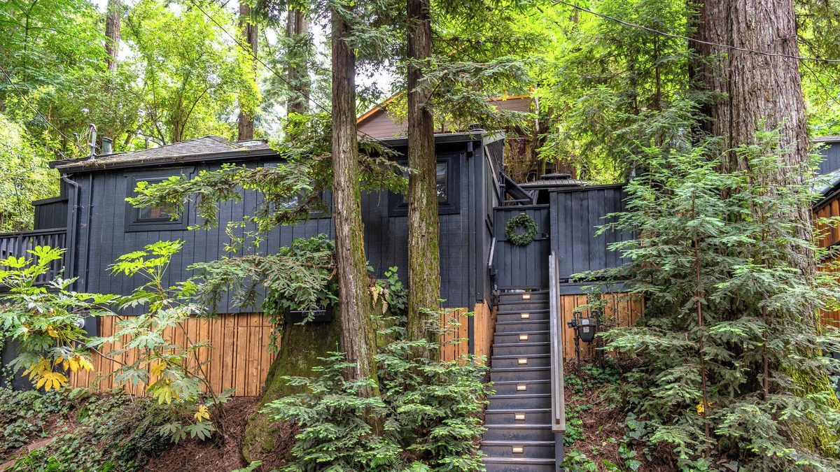 Guerneville Cabin | The Black Nest -5 Star! Enchanting & Trendy Redwood Retreat! WIFI/HotTub/Pup