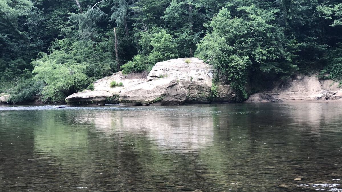 Revelo Cottage | The Blue Heron Farm Cottage ~ Big South Fork ~ Relax on Five Private Acres!