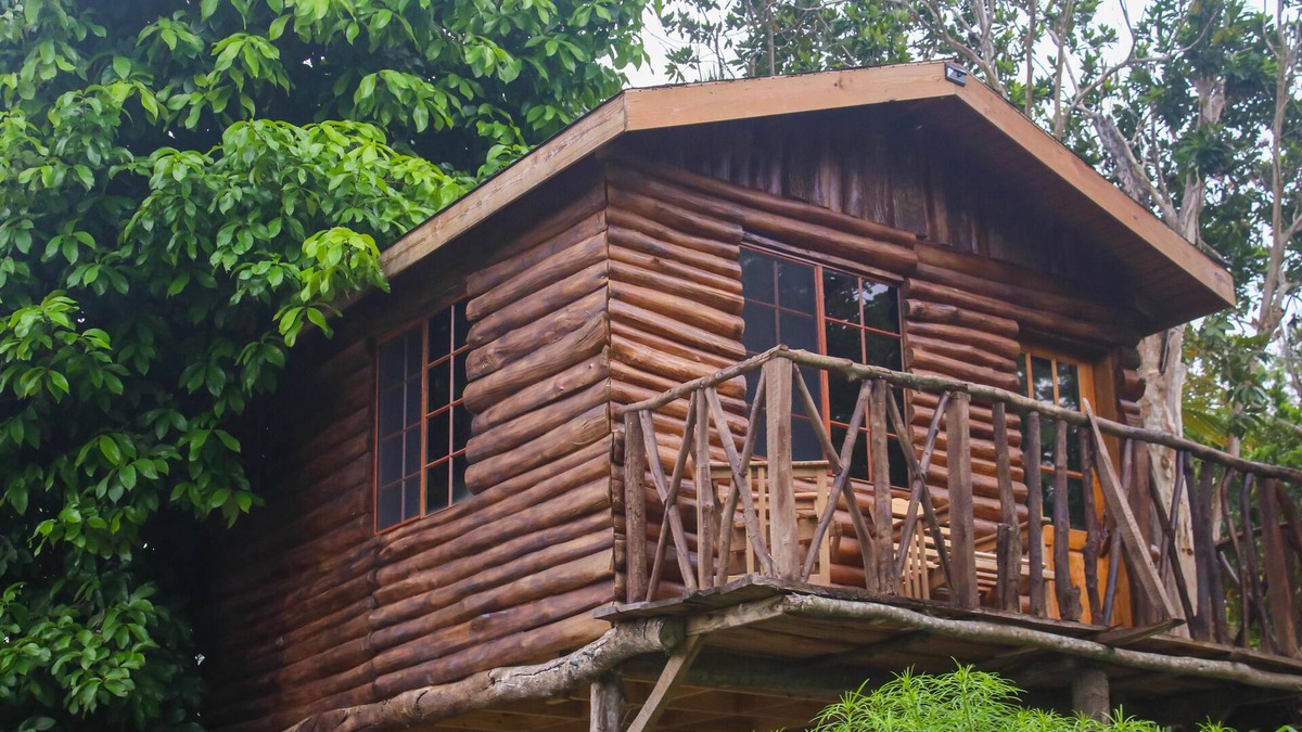 St. Ann's Bay House | The Blue Mahoe Treehouse
