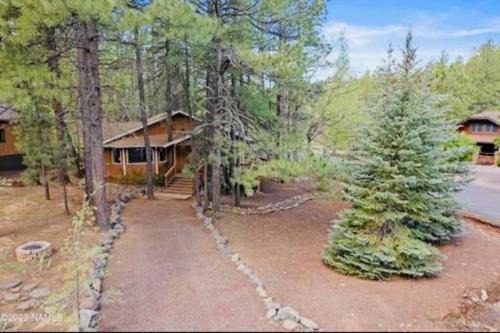Munds Park House | The Bluejay Cabin at Munds Park, AZ!