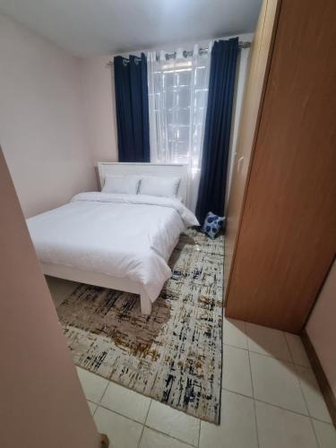 Ngara Apartment | The Boma Yangu Apartments Block A -fast WIFI, near CBD- Nairobi