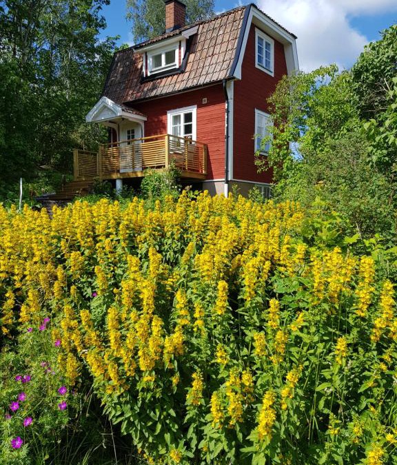 Rimbo House | The brickmaker's cottage