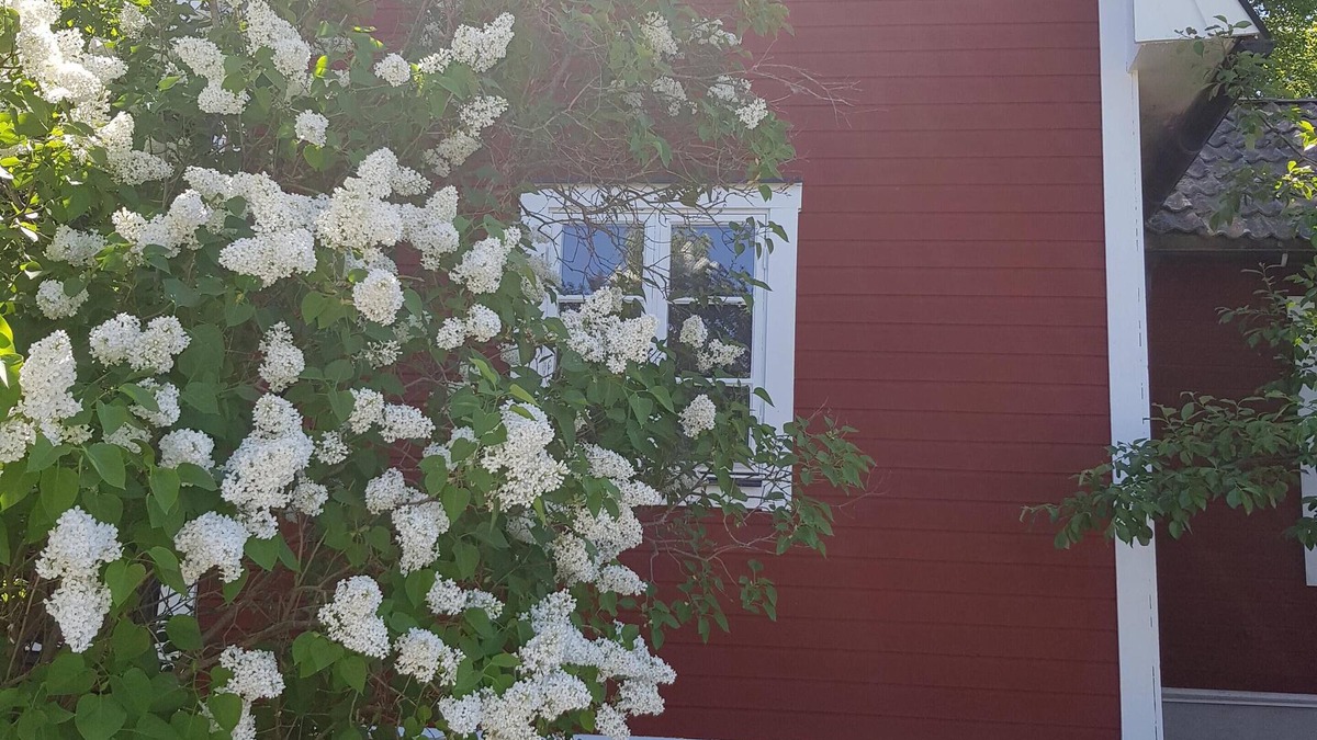 Rimbo House | The brickmaker's cottage