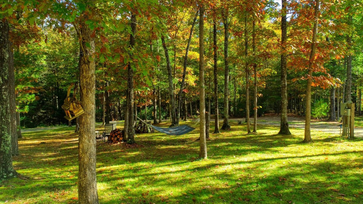 Jamestown Cabin | The Cabin at Crockett Creek