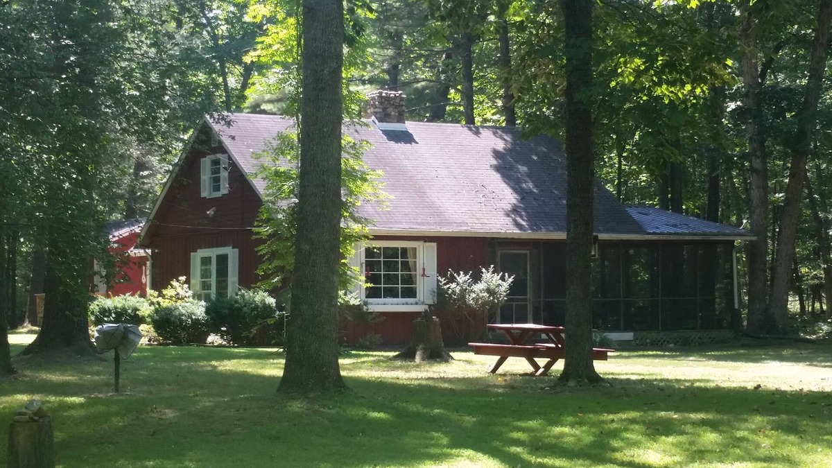 Wardensville Cabin | "The Cabin At Trout Run" - Waterfront, Wifi, Firepit, Wood Stove, Screened Porch