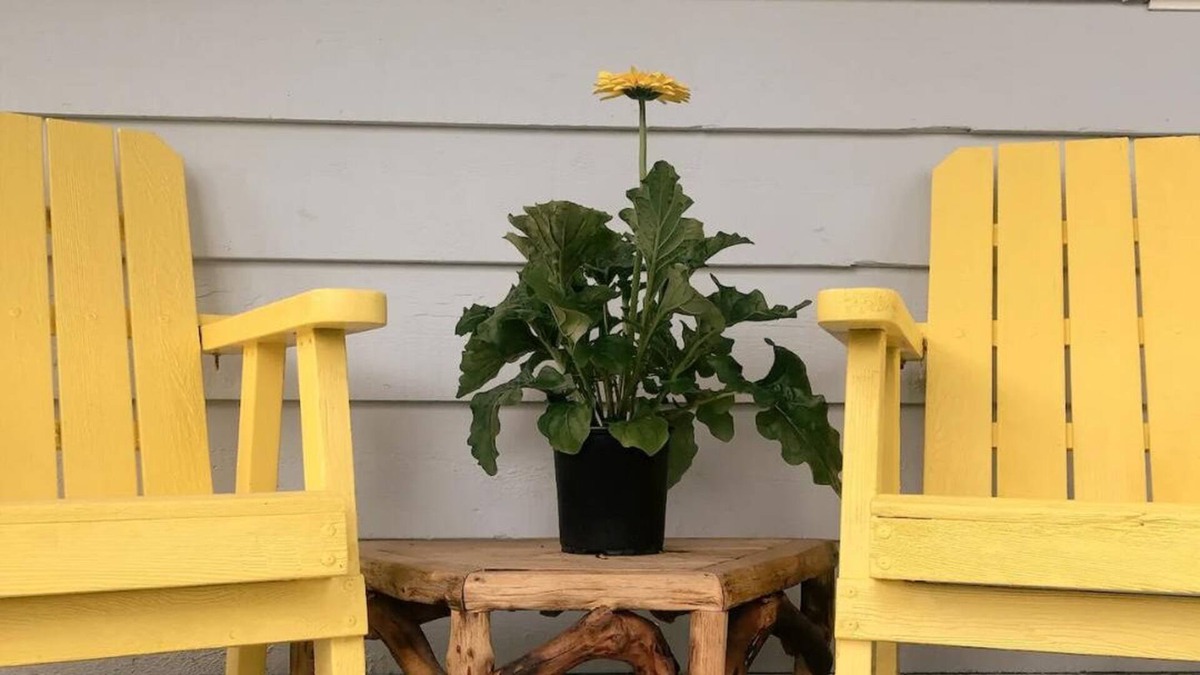 Youbou House | The Cabin with the Yellow Door on Beautiful Lake Cowichan