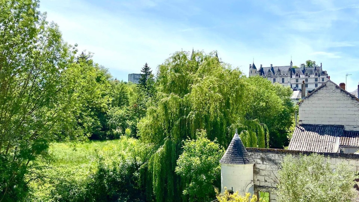 Loches Apartment | The campaign in the city center