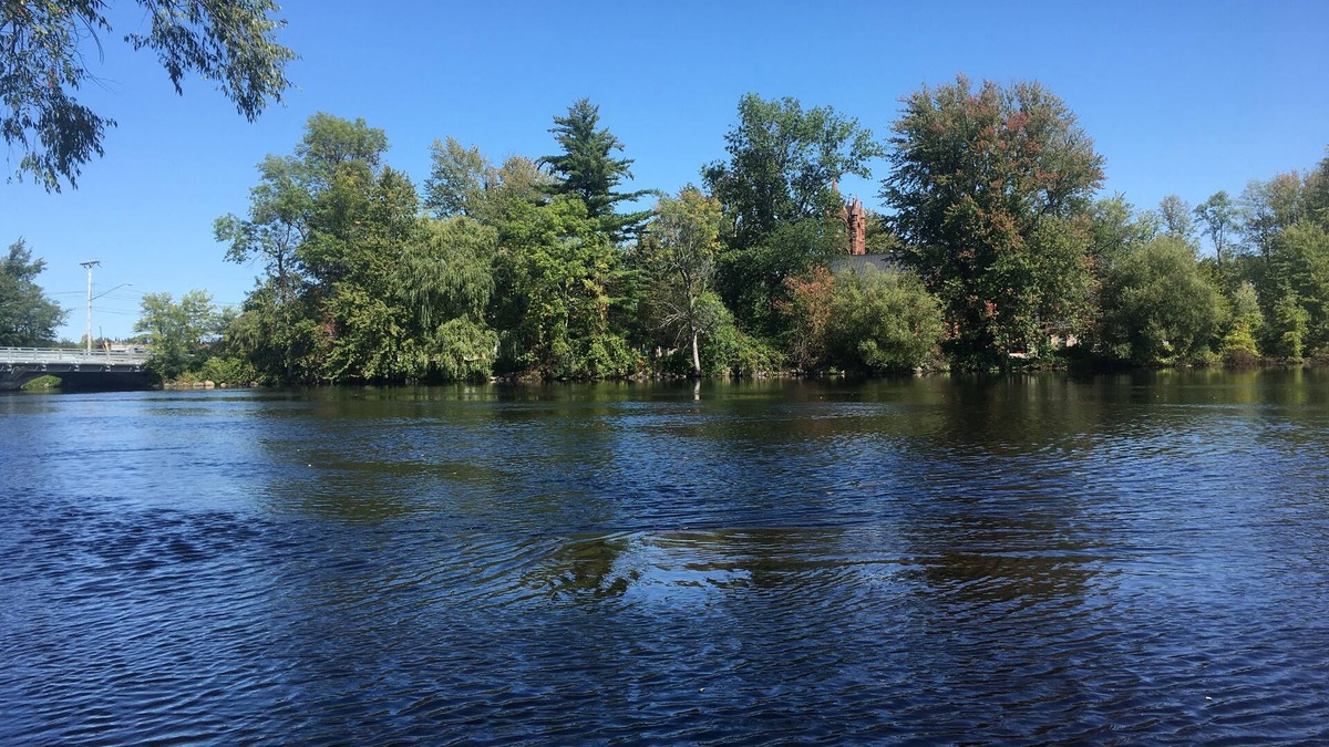 Potsdam House | The Cape Cod House❤️Walking Distance to Clarkson, SUNY Potsdam❤️River, Downtown