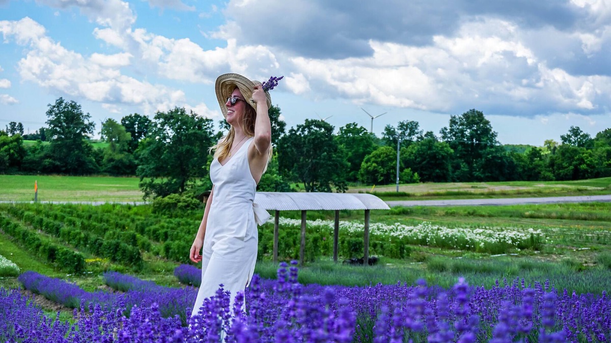 West Lincoln House | The Carriage House @ Mingle Hill