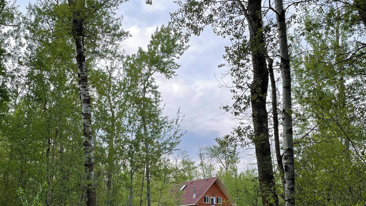 Sherwood Park Cabin | The Cattage 3 bedroom Cabin