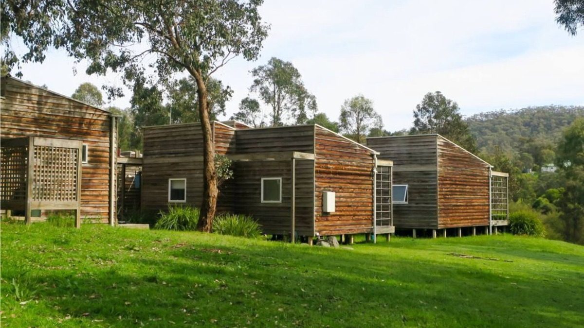 Eildon House | The Cedar house