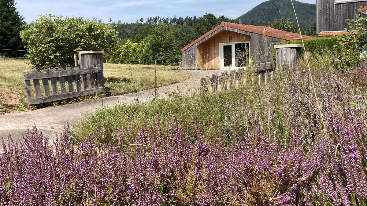 Saulcy-sur-Meurthe Ski Chalet | The Chalet in Nature